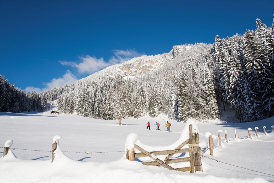 Schneeschuhwanderer am Weg zu einer Hütte