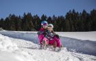 Kinder fahren mit der Rodel bergab