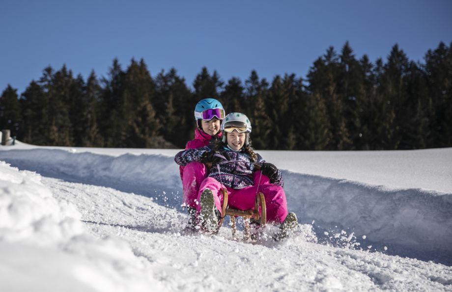 Kinder fahren mit der Rodel bergab