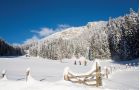 Schneeschuhwanderer am Weg zu einer Hütte