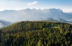 Ausblick auf den Grasberg Rauher Kopf