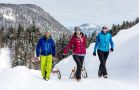 Schlittenfahrer gehen bergauf