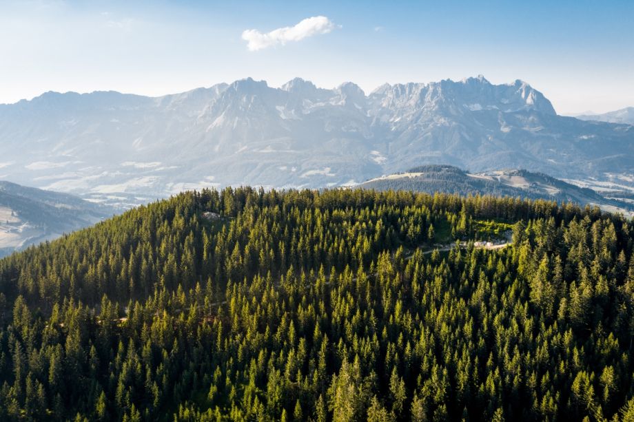 Ausblick auf den Grasberg Rauher Kopf